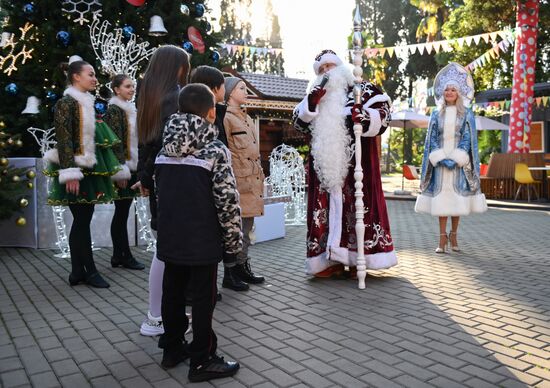 Мэр Сочи поздравил жителей с Новым годом