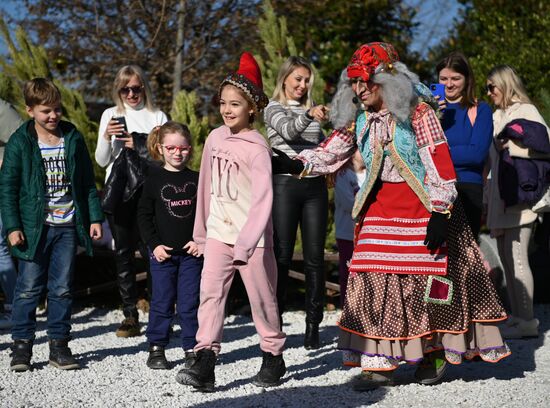 Усадьба Деда Мороза в Сочи