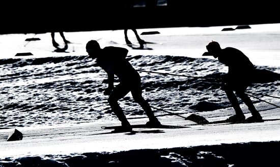 Лыжные гонки. Тур де Ски. Мужчины. Масс-старт