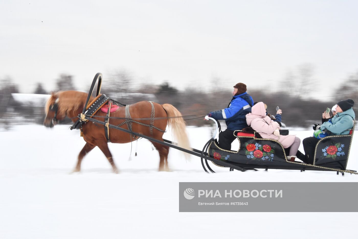 Катание на санях в парке Коломенское