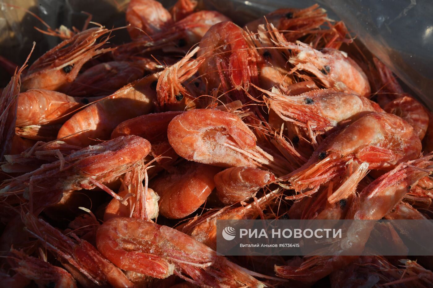 Рождественская продовольственная ярмарка во Владивостоке