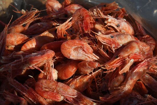 Рождественская продовольственная ярмарка во Владивостоке