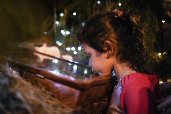 Празднование Рождества Христова в регионах России