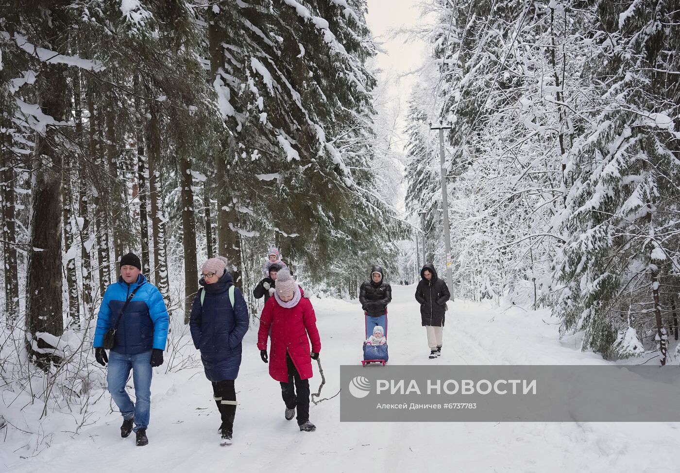 Парк отдыха "Зубровник" и музей живых сов в Ленинградской области