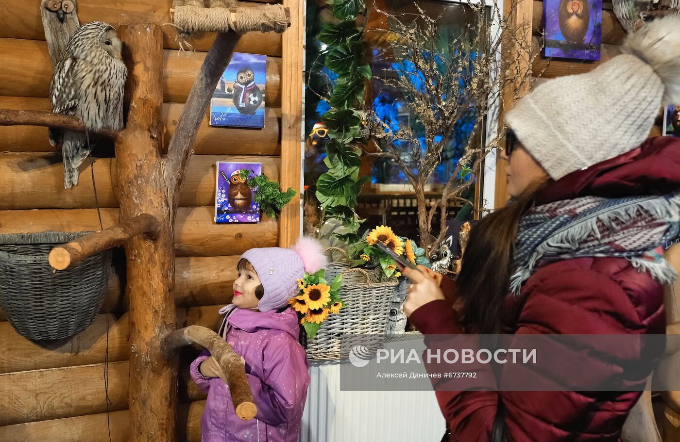 Парк отдыха "Зубровник" и музей живых сов в Ленинградской области