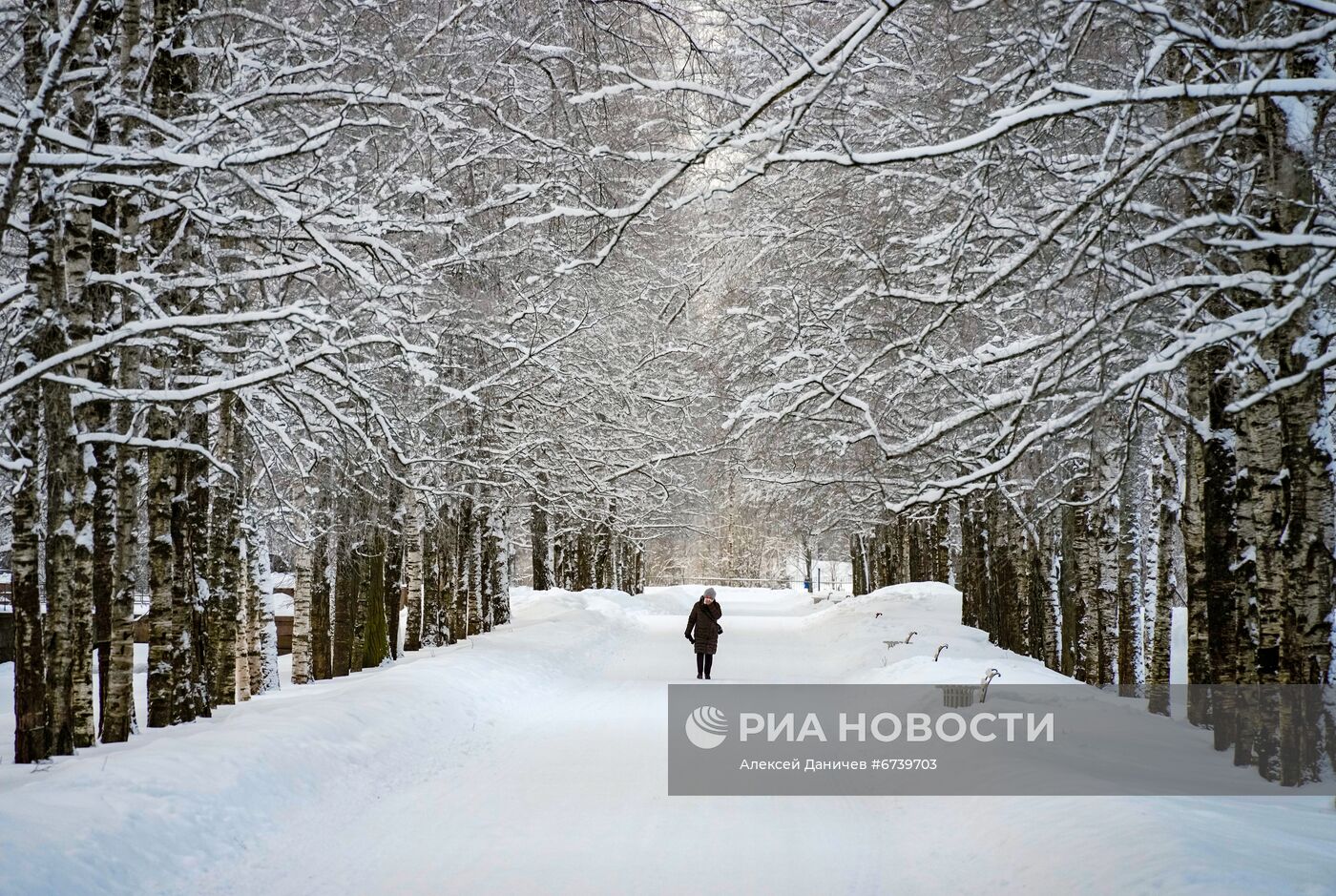 Музей-заповедник "Царское Село" зимой