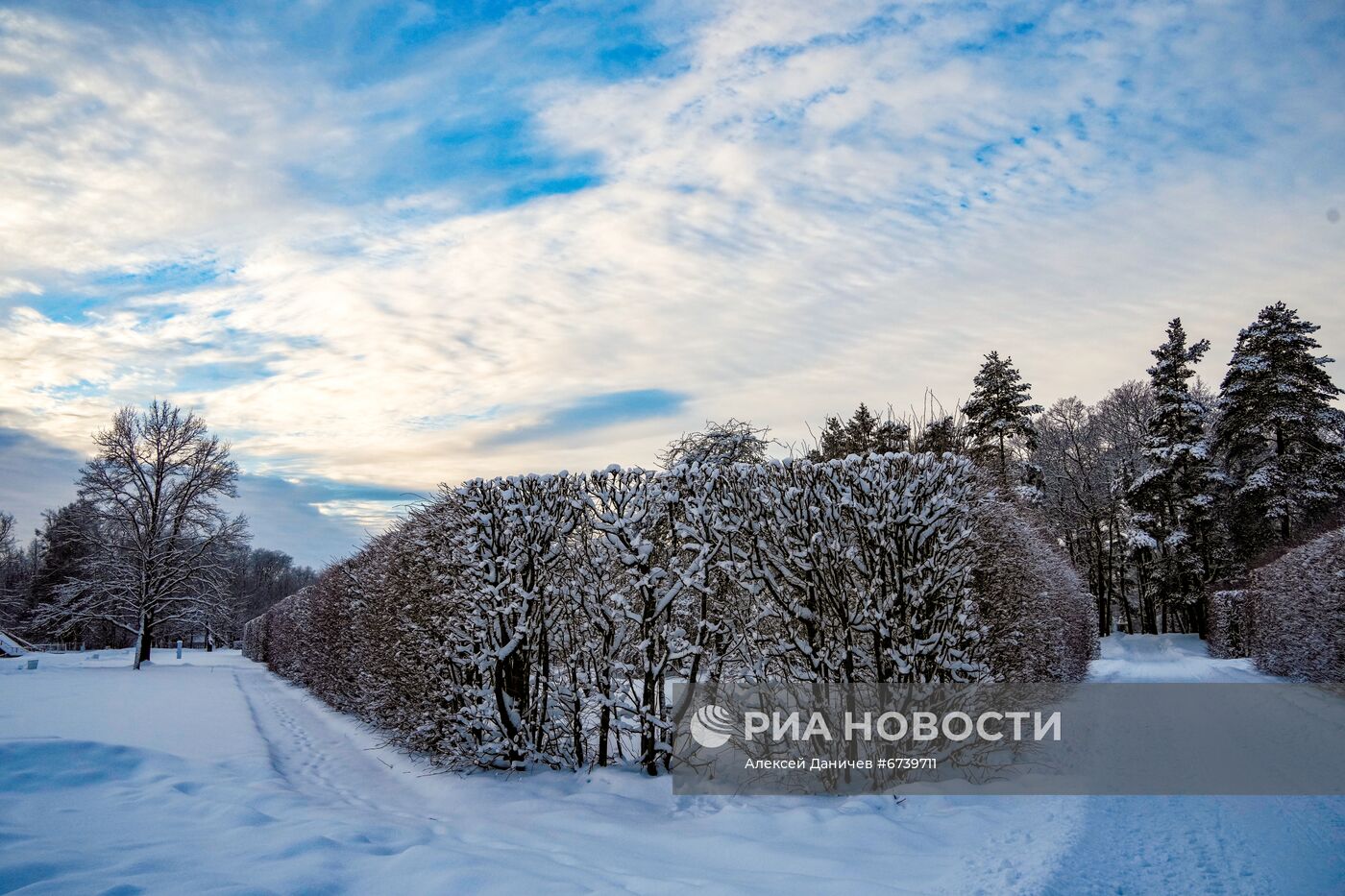 Музей-заповедник "Царское Село" зимой