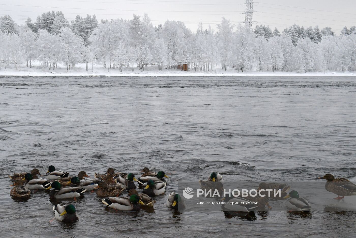 Зима на берегах реки Вуоксы