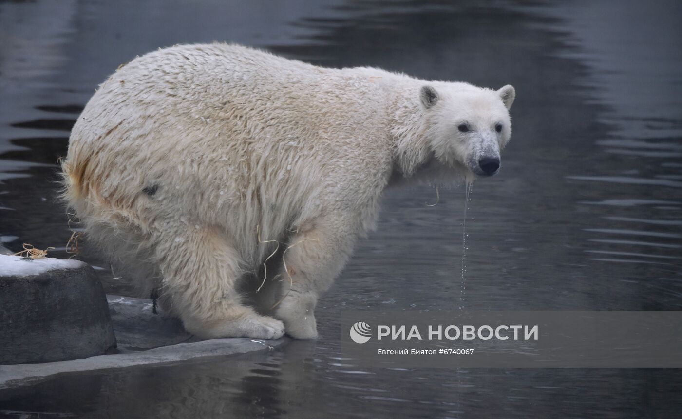 Московский зоопарк