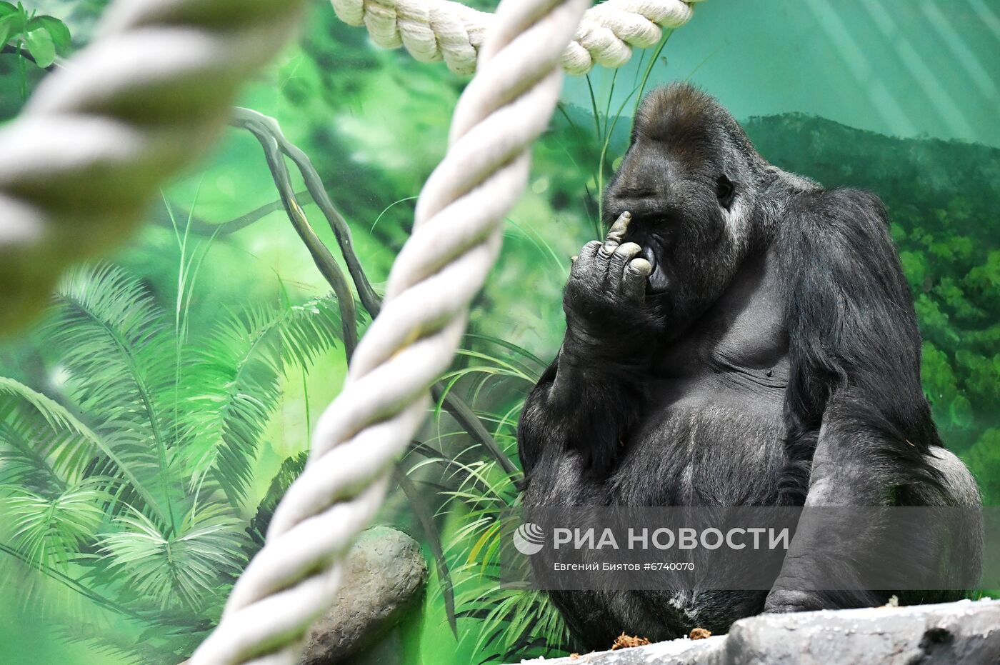 Московский зоопарк