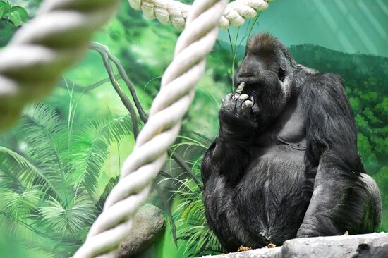 Московский зоопарк