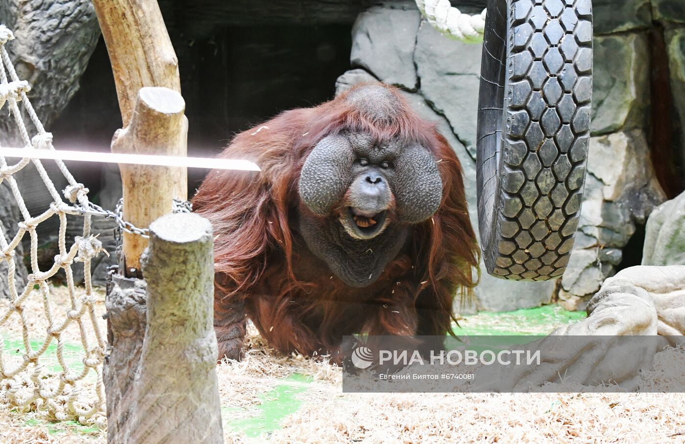 Московский зоопарк