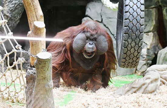 Московский зоопарк