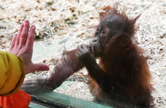 Московский зоопарк