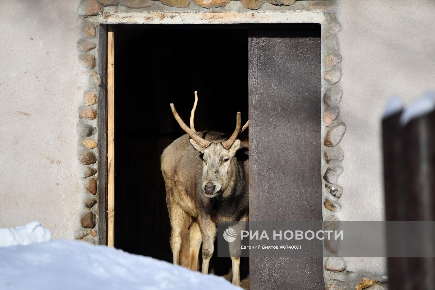 Московский зоопарк