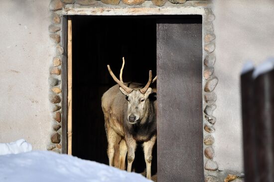 Московский зоопарк