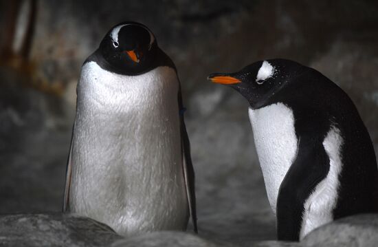 Московский зоопарк