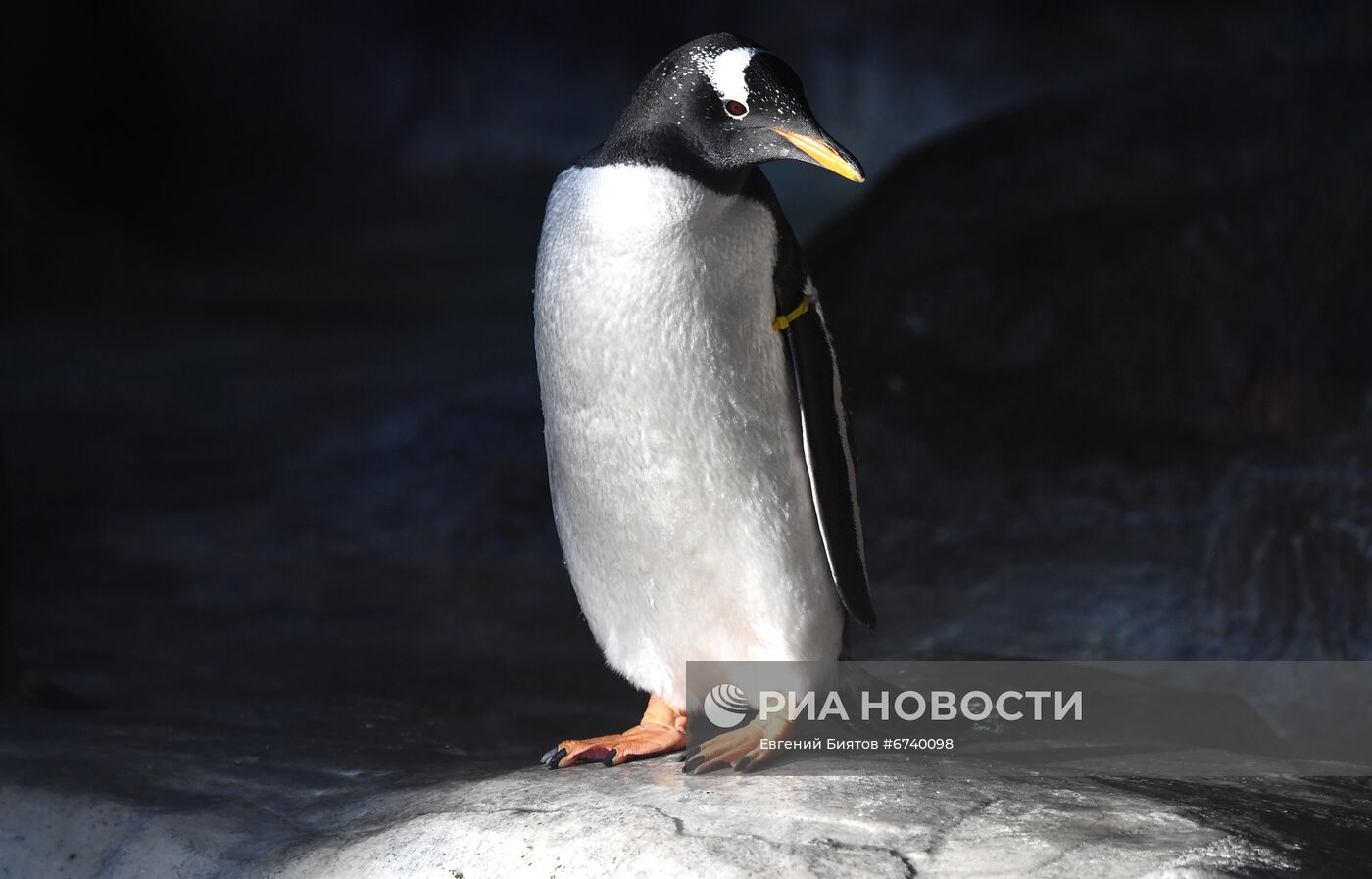 Московский зоопарк