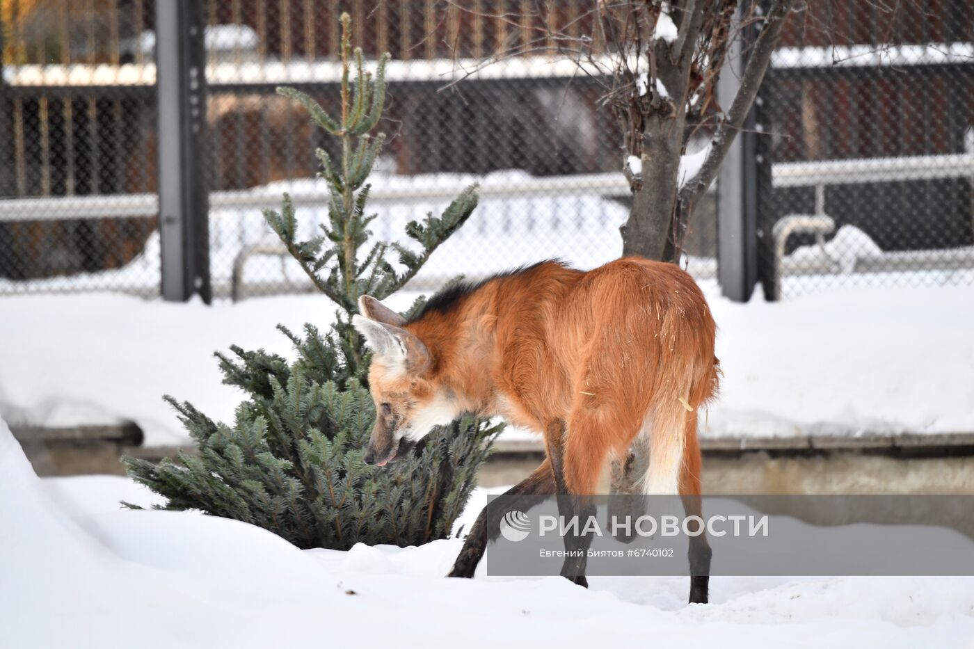Московский зоопарк