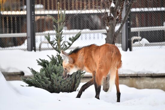 Московский зоопарк