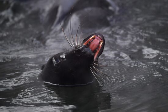 Московский зоопарк