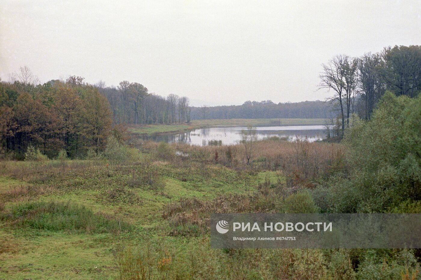 Реданский лес в Ставропольском крае