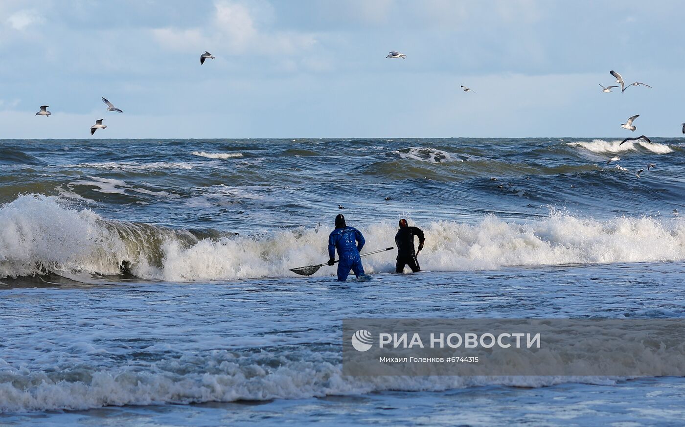 Сбор янтаря на побережье Балтийского моря