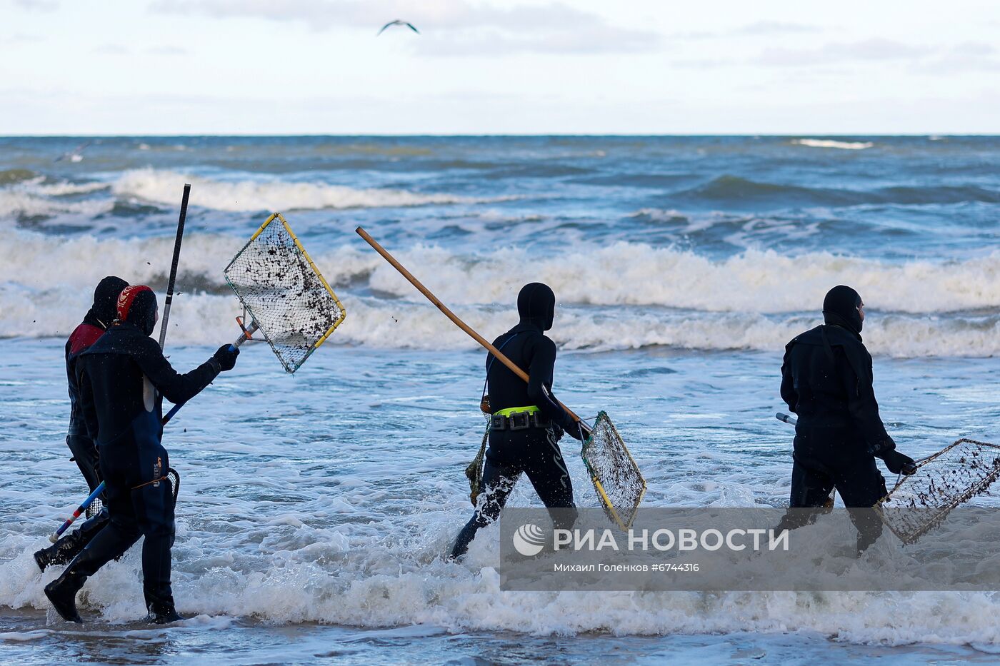 Сбор янтаря на побережье Балтийского моря