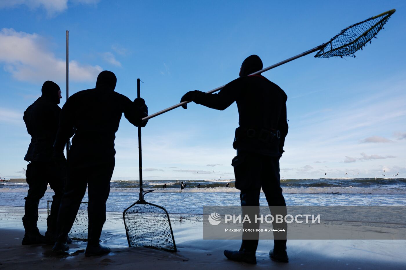 Сбор янтаря на побережье Балтийского моря