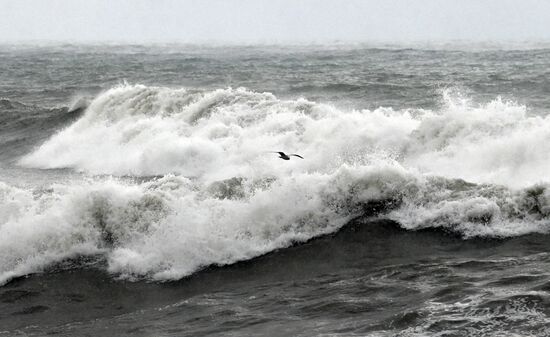 Шторм в Сочи