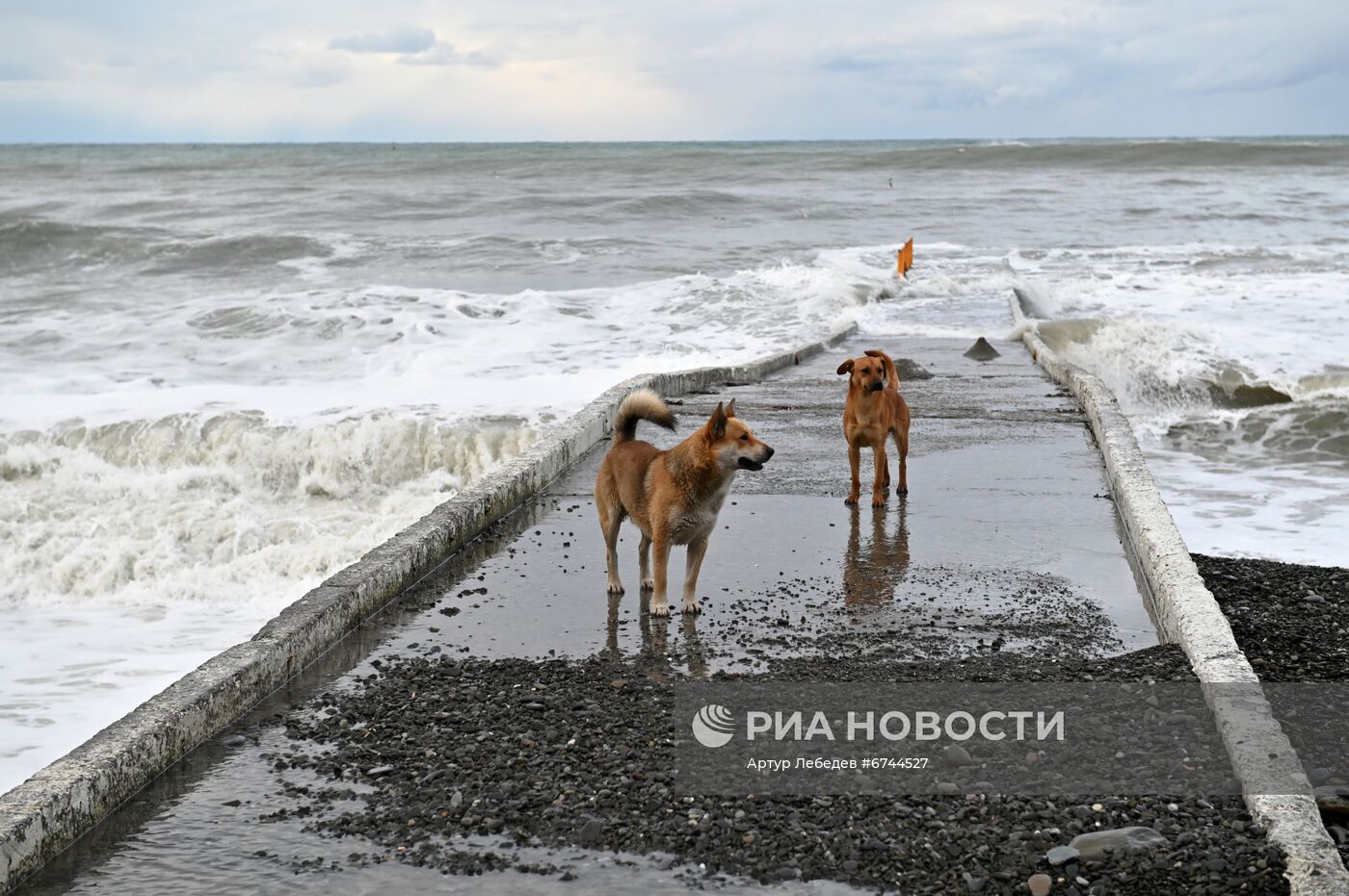 Шторм в Сочи