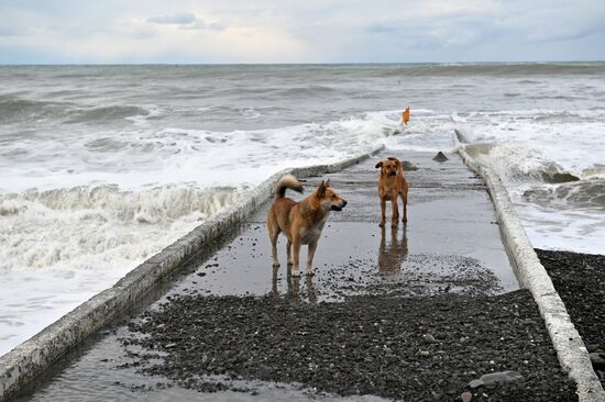 Шторм в Сочи