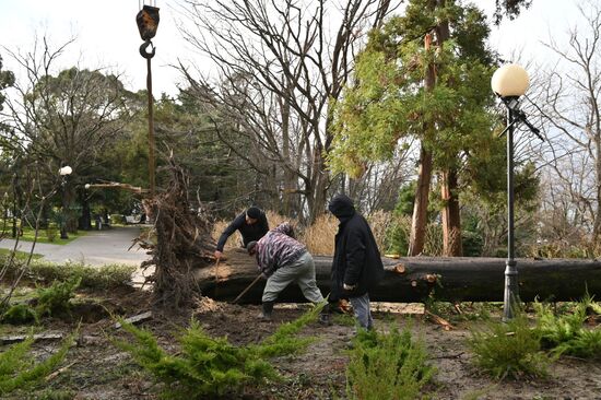 Шторм в Сочи