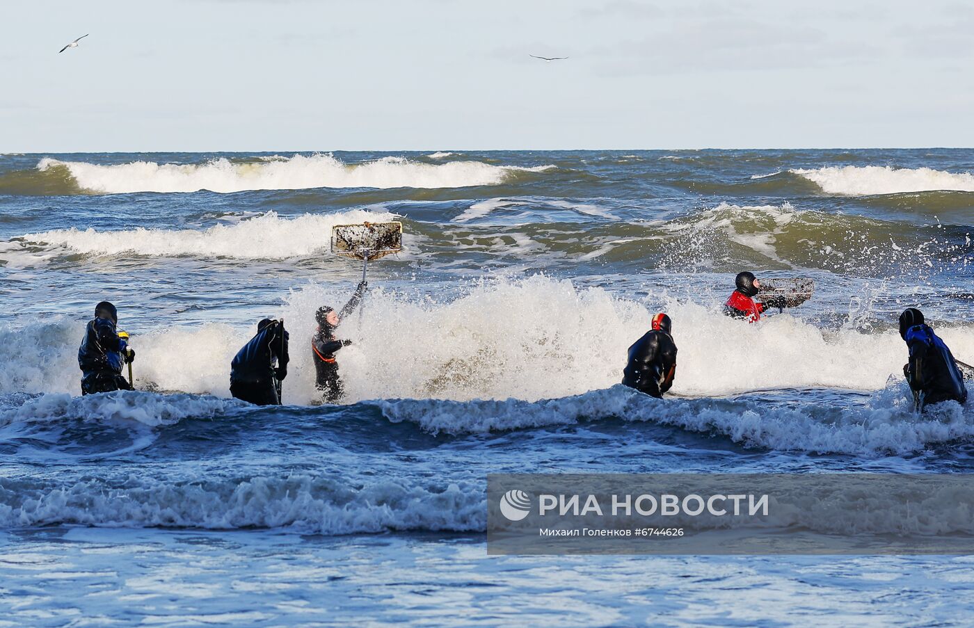 Сбор янтаря на побережье Балтийского моря