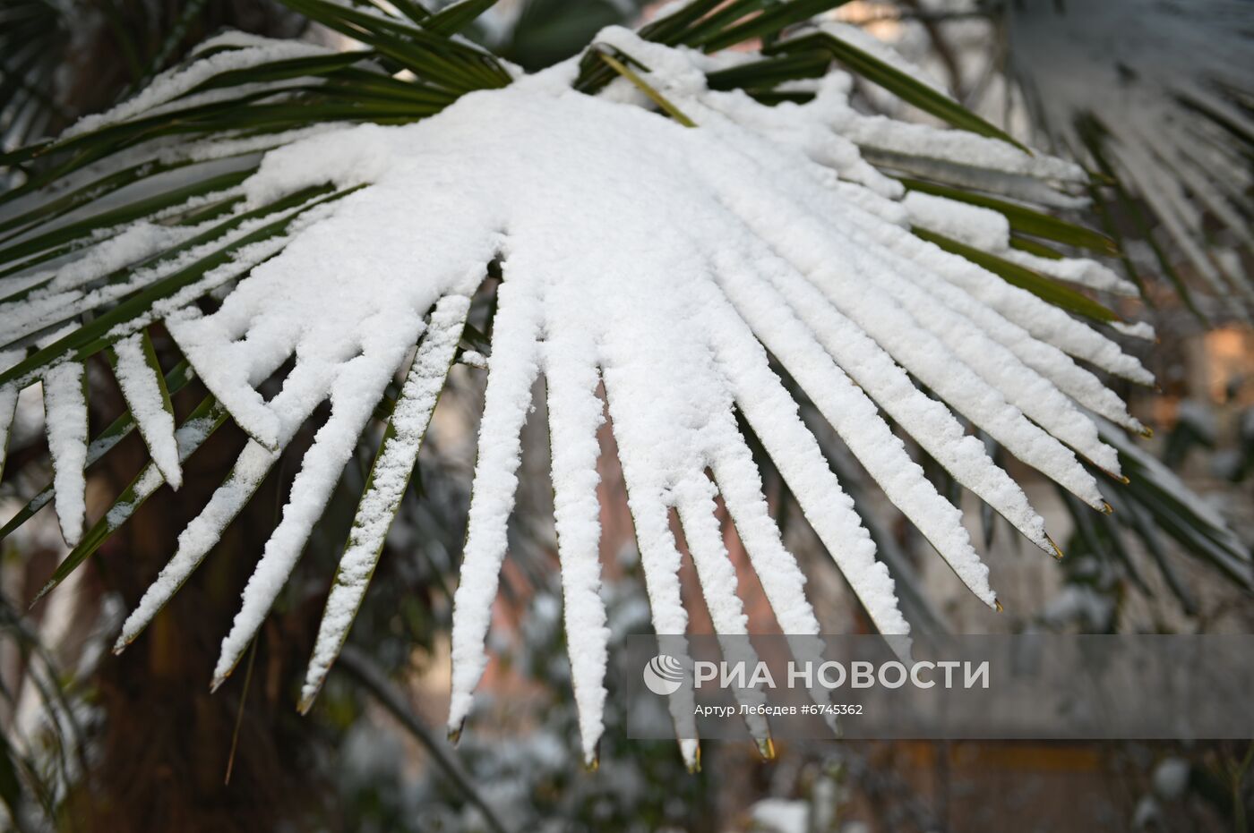 Снег в Сочи