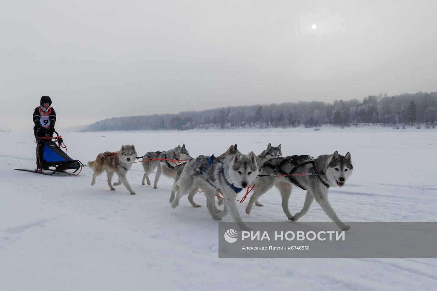 Кубок Урала и Сибири по ездовому спорту в Кемеровской области