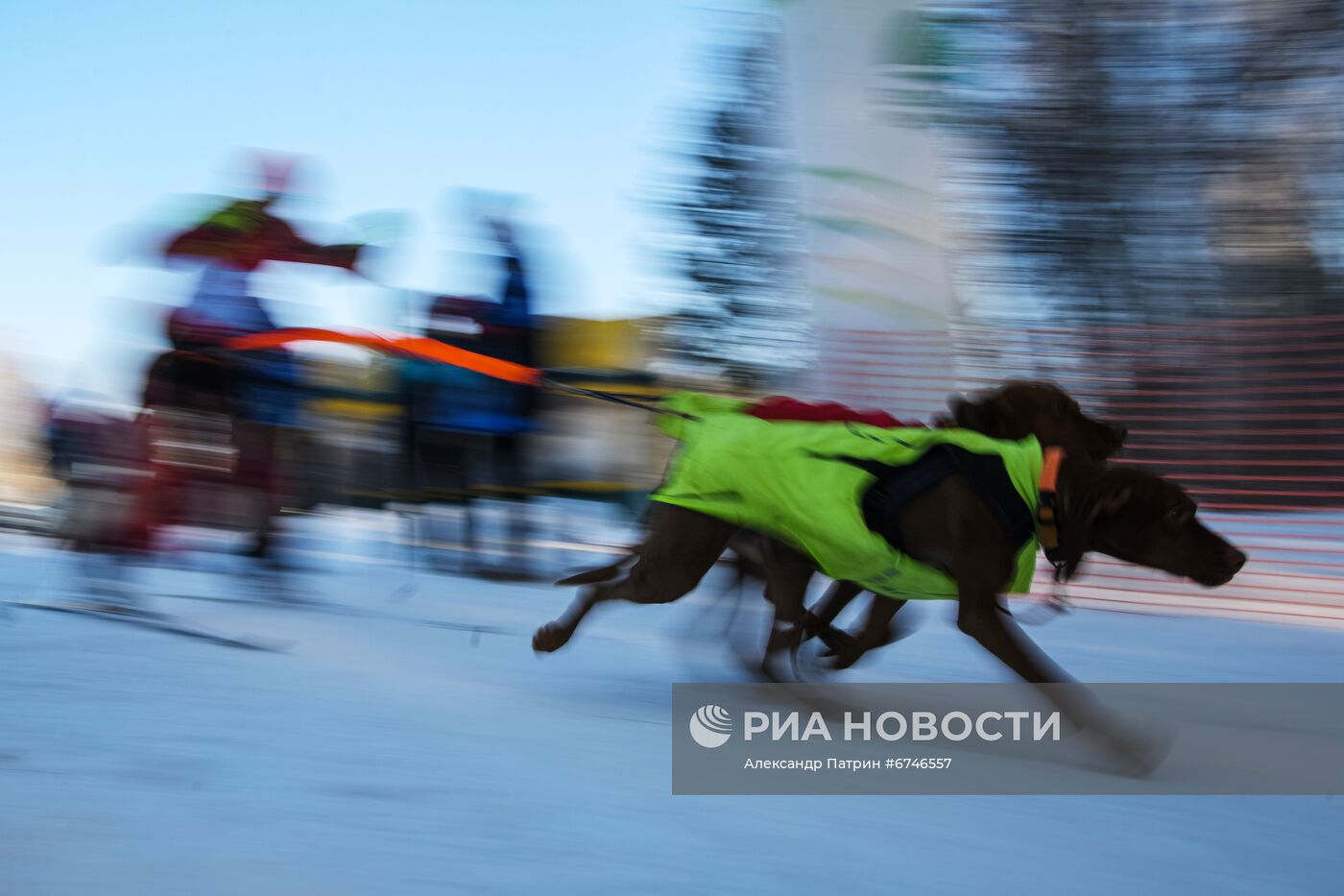 Кубок Урала и Сибири по ездовому спорту в Кемеровской области