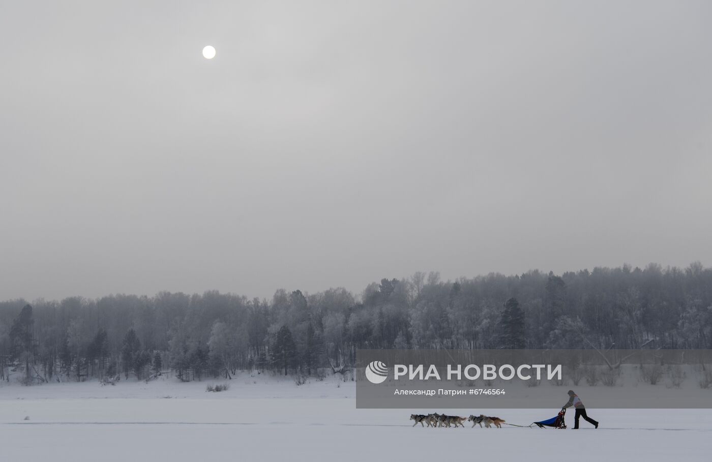 Кубок Урала и Сибири по ездовому спорту в Кемеровской области