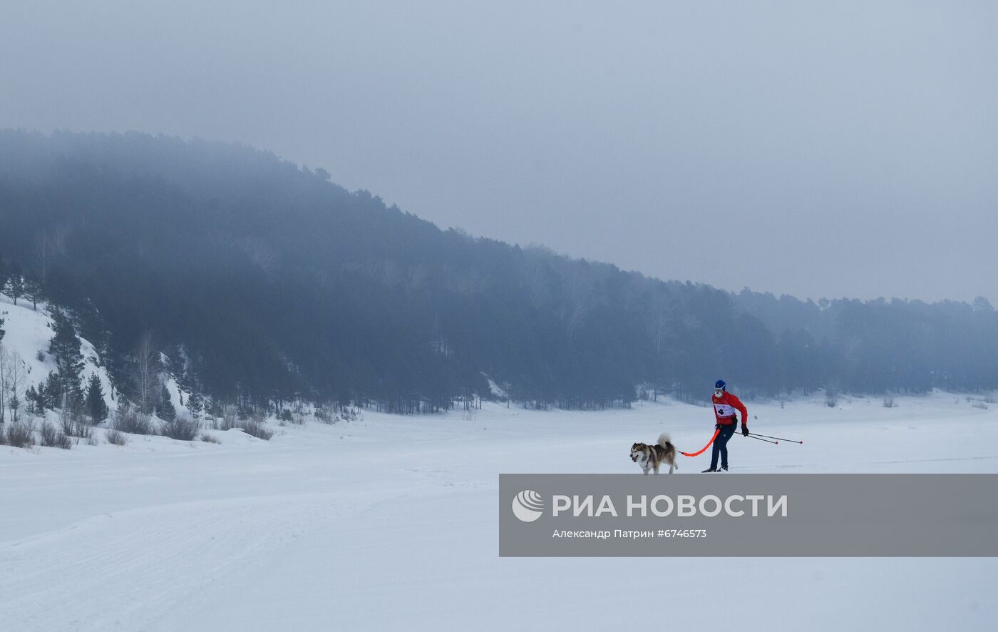 Кубок Урала и Сибири по ездовому спорту в Кемеровской области