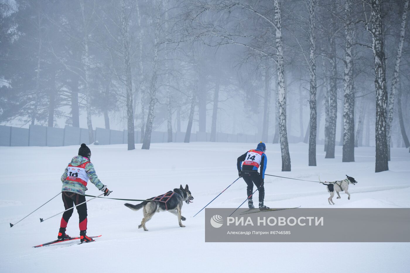 Кубок Урала и Сибири по ездовому спорту в Кемеровской области