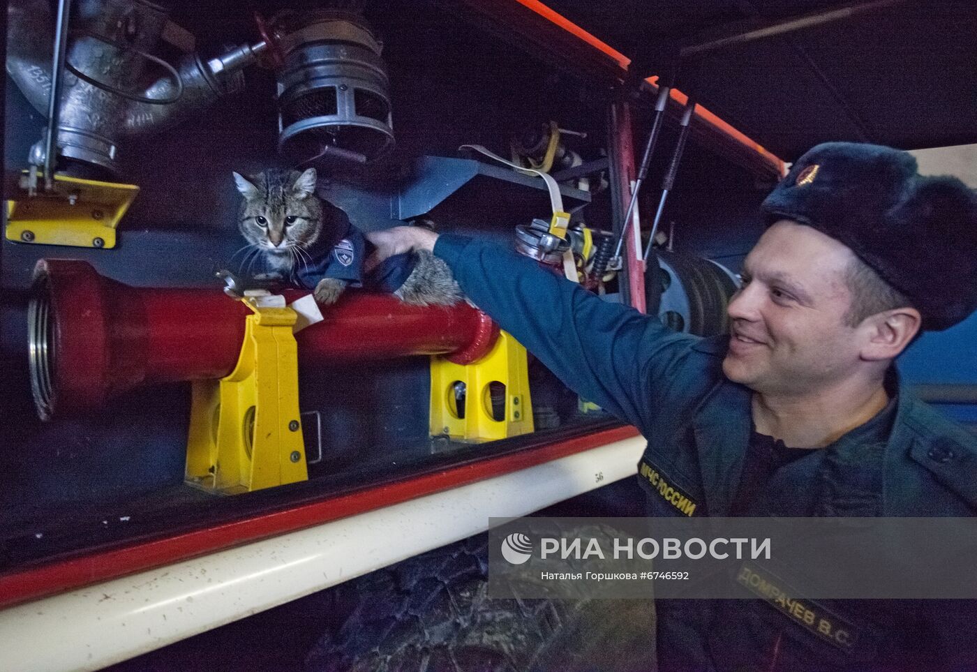 Кот Семен в пожарной части в Тюменской области