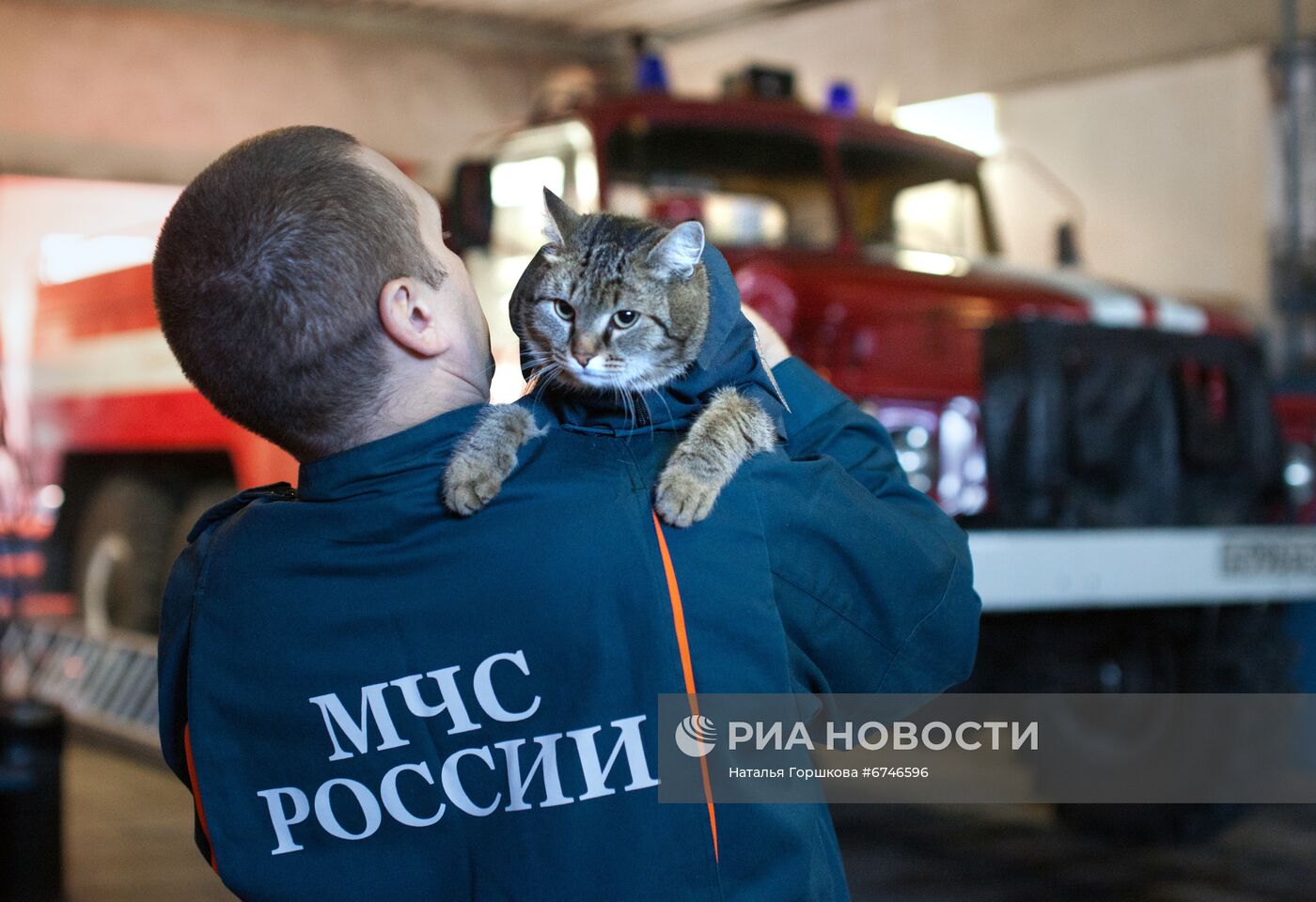 Кот Семен в пожарной части в Тюменской области