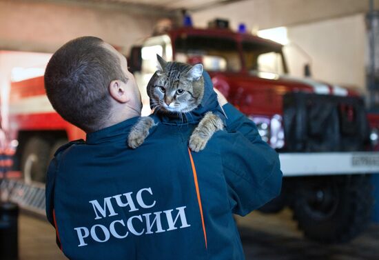 Кот Семен в пожарной части в Тюменской области