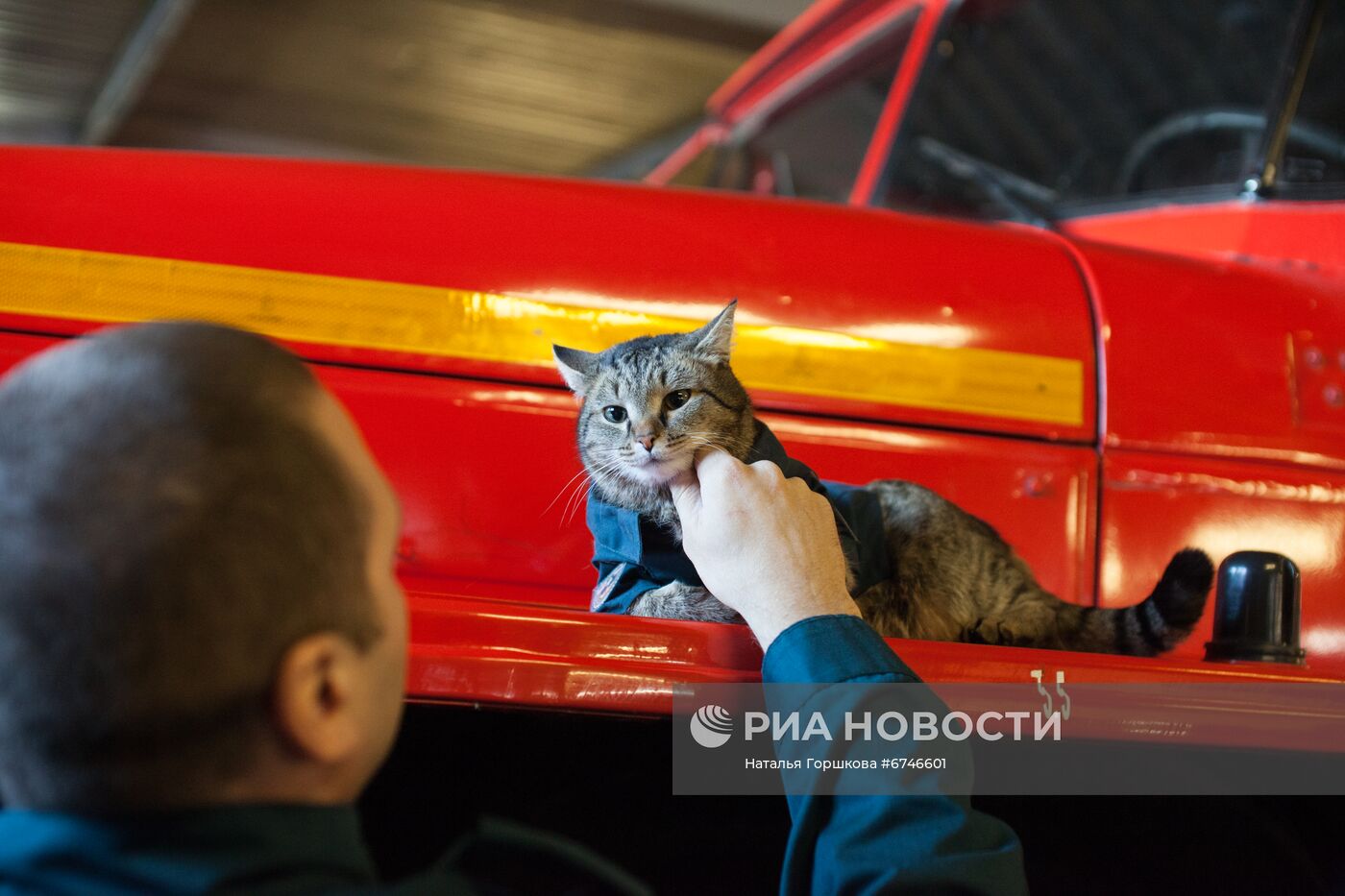 Кот Семен в пожарной части в Тюменской области