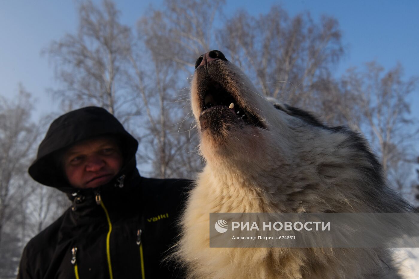 Кубок Урала и Сибири по ездовому спорту в Кемеровской области