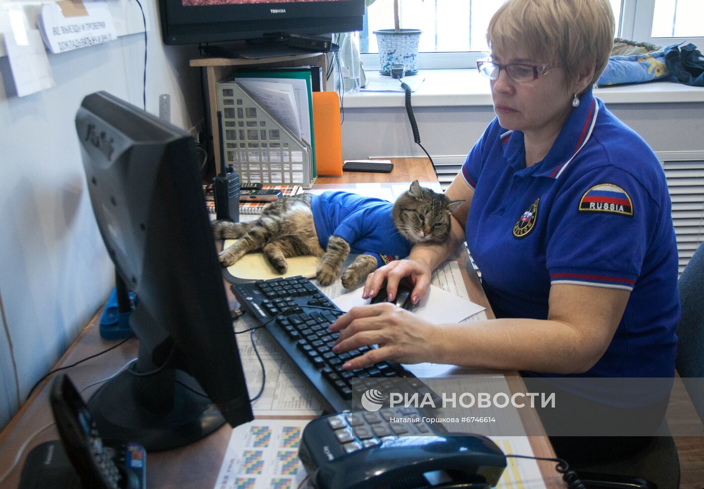 Кот Семен в пожарной части в Тюменской области