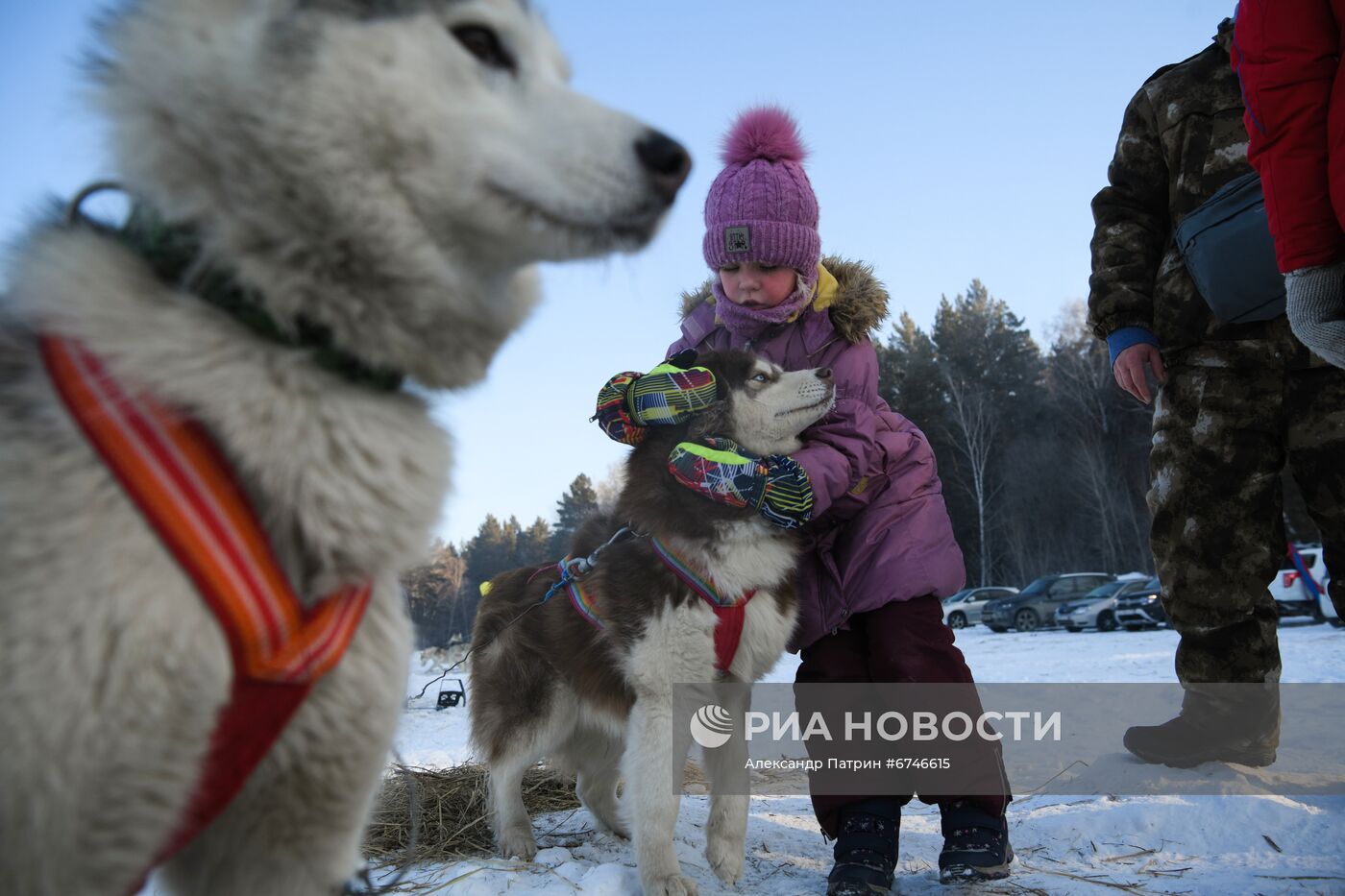 Кубок Урала и Сибири по ездовому спорту в Кемеровской области