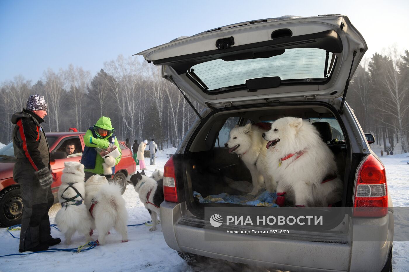 Кубок Урала и Сибири по ездовому спорту в Кемеровской области