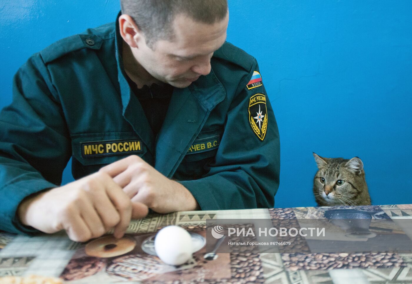 Кот Семен в пожарной части в Тюменской области