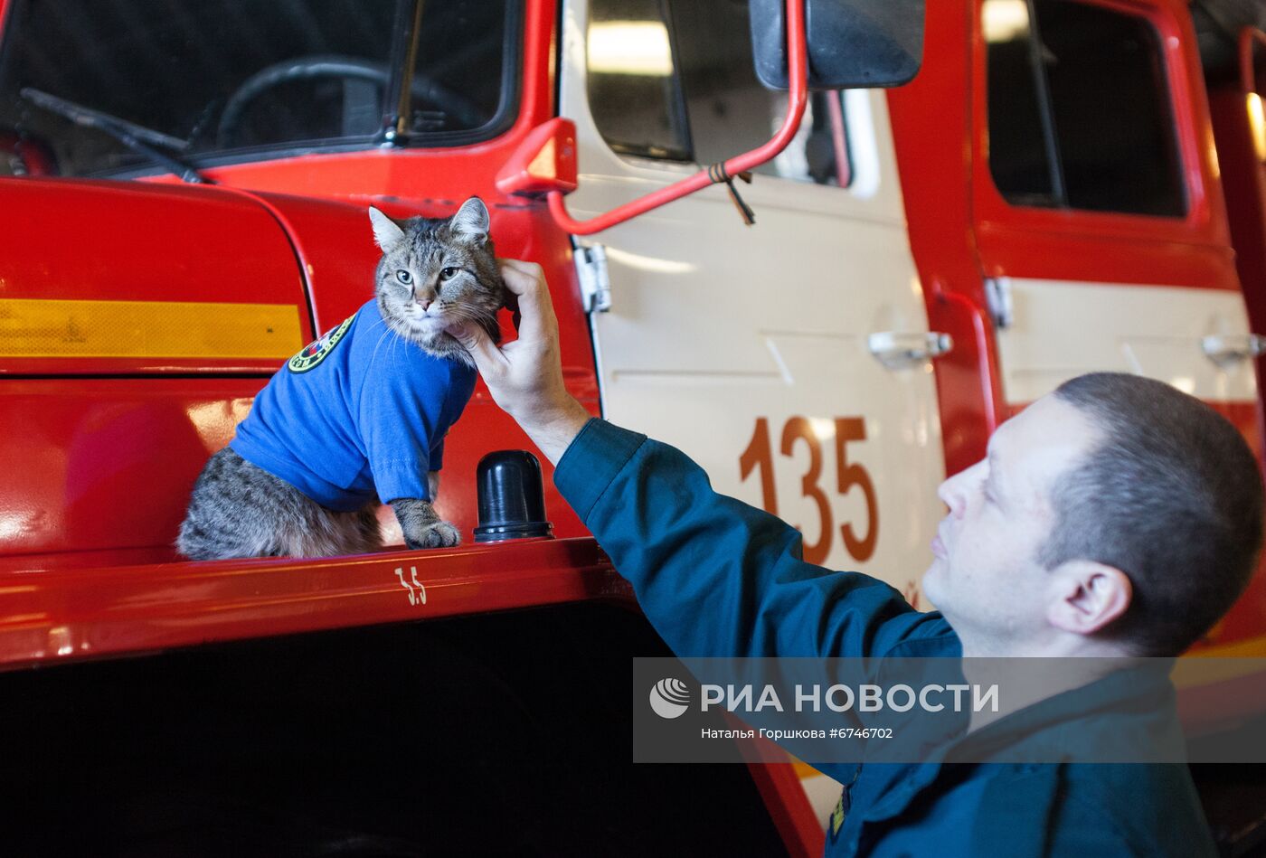 Кот Семен в пожарной части в Тюменской области